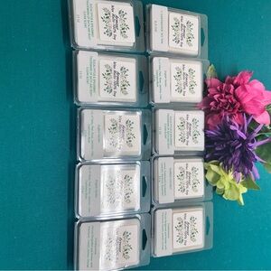 Ten for $12 SOY WAX MELTS  All different scents!